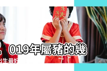 【屬豬2019年3月出生好】2019年屬豬的幾月出生最好 |2019年豬寶寶幾月出生最好 |哪個時辰好 |