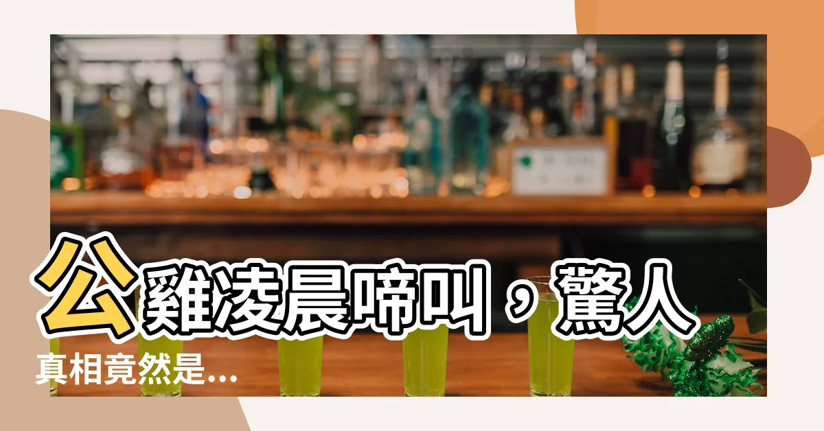 【公雞為什麼在凌晨啼叫】公雞凌晨啼叫，驚人真相竟然是...