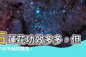 【石蓮花禁忌】石蓮花功效多多，但你不可不知的禁忌！