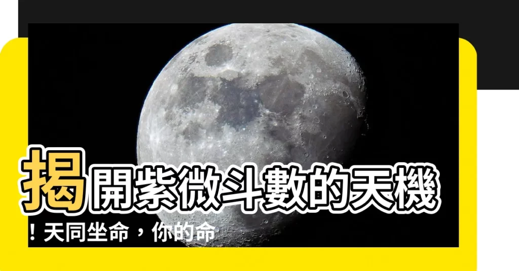 【紫微鬥數 天同】揭開紫微鬥數的天機！天同坐命，你的命運如何？