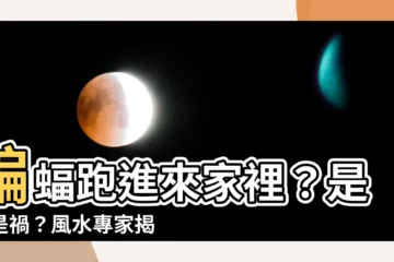 【蝙蝠跑進來家裡】蝙蝠跑進來家裡？是福是禍？風水專家揭密