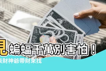 【見到蝙蝠】見蝙蝠千萬別害怕！代表財神爺帶財來找你啦