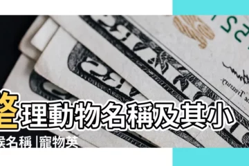 【各種寵物英文名字】整理動物名稱及其小時候名稱 |寵物英文名 |寵物英文名字帶翻譯 |