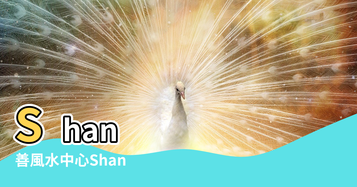 【房子風水shan】Shan |善風水中心Shan |善一風水服務站 |