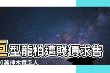 【有人收購龍柏樹嗎】巨型龍柏遭賤價求售！20萬神木竟乏人問津，有人收購嗎？