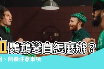 【血鸚鵡變白】血鸚鵡變白怎麼辦？原因、飼養注意事項一次搞懂！