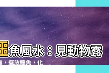 【鱷魚 風水】鱷魚風水：見動物露玄機，擺放鱷魚，化解煞氣迎吉祥