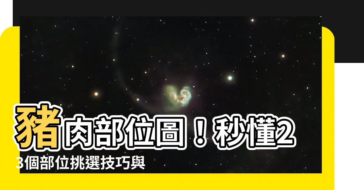 【豬肉位置】豬肉部位圖！秒懂23個部位挑選技巧與料理指南