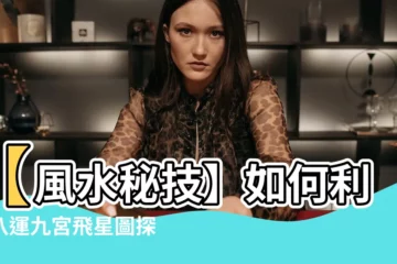 【八運九宮飛星圖】【風水秘技】如何利用八運九宮飛星圖探知吉凶？