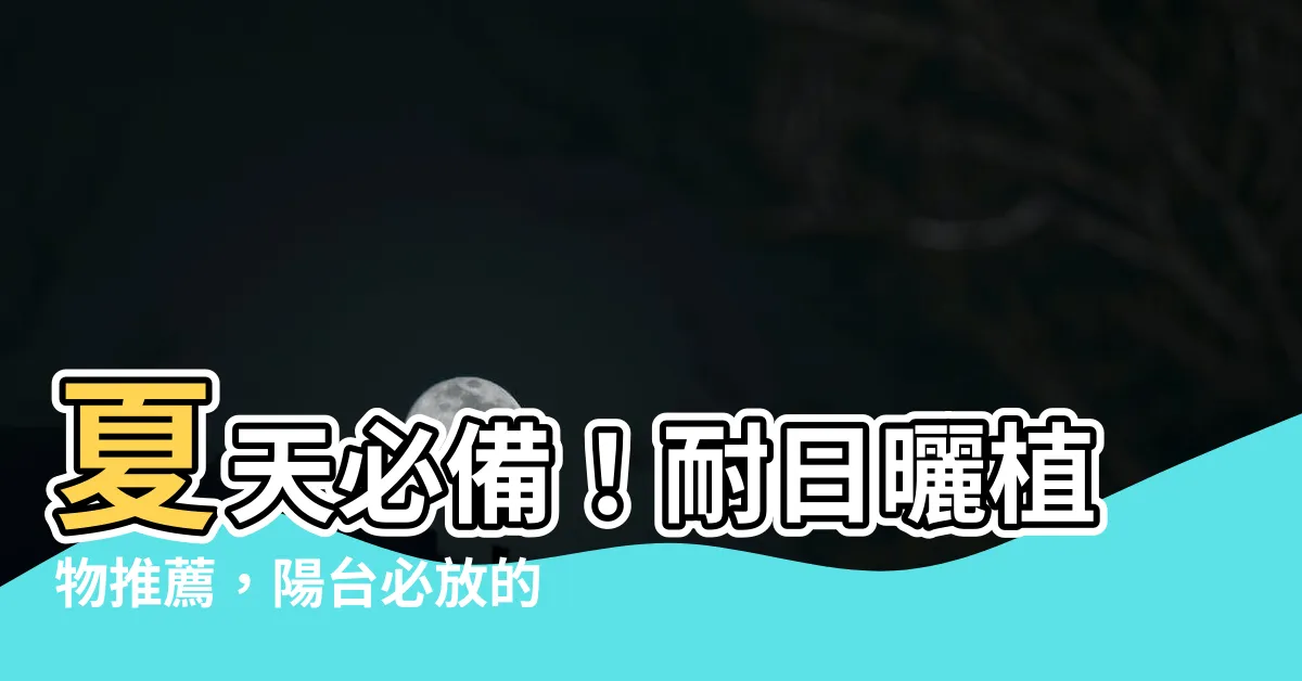 【耐日曬植物】夏天必備！耐日曬植物推薦，陽台必放的10大花卉！