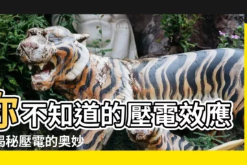 【壓電】你不知道的壓電效應！揭秘壓電的奧妙