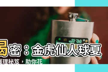 【金虎仙人球】揭密：金虎仙人球夏季護理秘笈，助你花開綻放！
