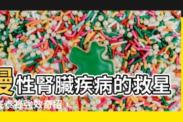 【庇泰祿功效】慢性腎臟疾病的救星：庇泰祿強效奇招，重拾腎臟健康！