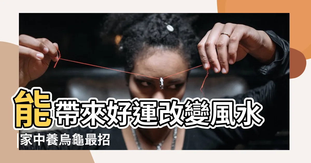 【龜 風水】能帶來好運改變風水 |家中養烏龜最招財 |這幾點風水禁忌最需要注意 |