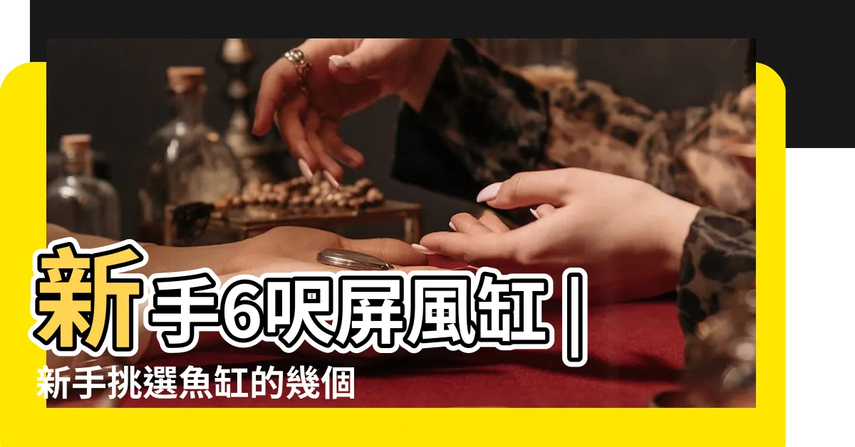 【屏風缸缺點】新手6呎屏風缸 |新手挑選魚缸的幾個重點與種類 |