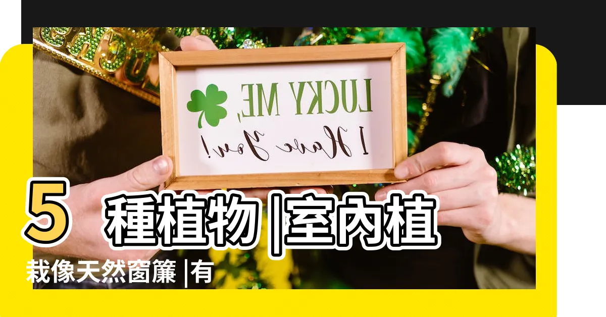 【不怕西曬 植物】5種植物 |室內植栽像天然窗簾 |有沒有什麼植物是很耐曬的 |