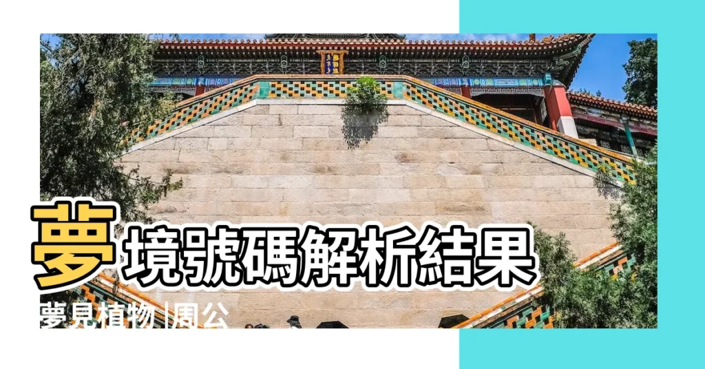 夢境號碼解析結果 |夢見植物 |周公解夢食物類類夢境 |【夢見爸爸給我送南瓜餅】