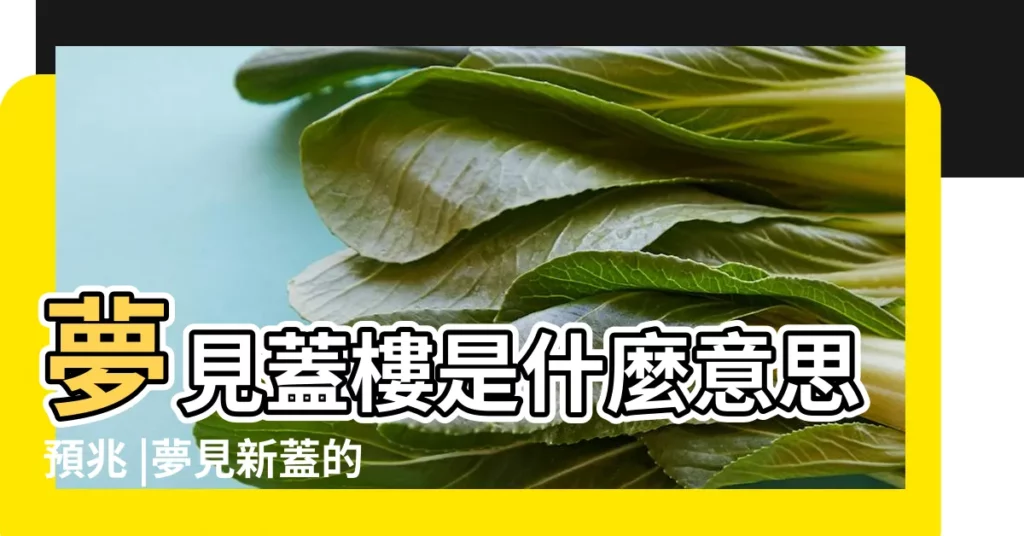 夢見蓋樓是什麼意思預兆 |夢見新蓋的房子 |夢見蓋新房 |【懷孕夢見新蓋樓】
