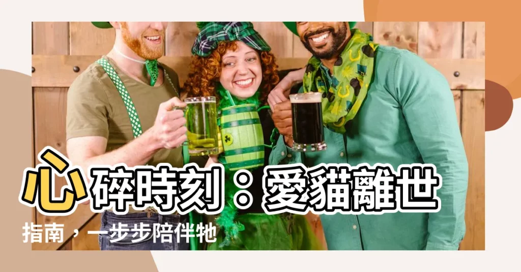 【貓過世處理】心碎時刻：愛貓離世指南，一步步陪伴牠走完最後一程