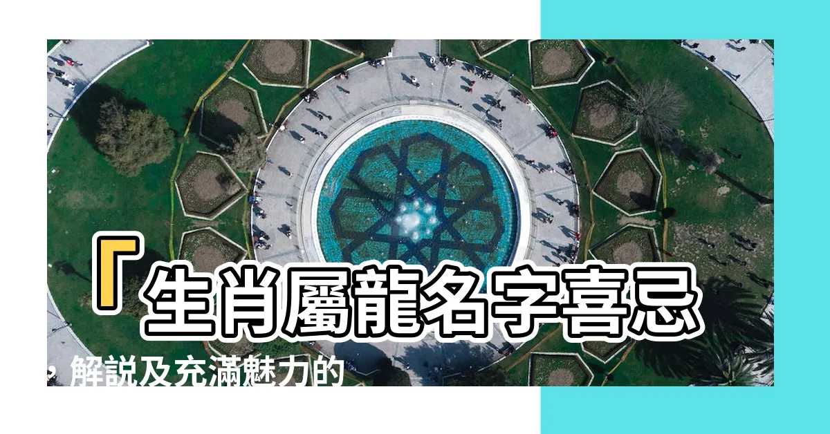 【屬龍的名字喜忌】「生肖屬龍名字喜忌，解説及充滿魅力的字庫」