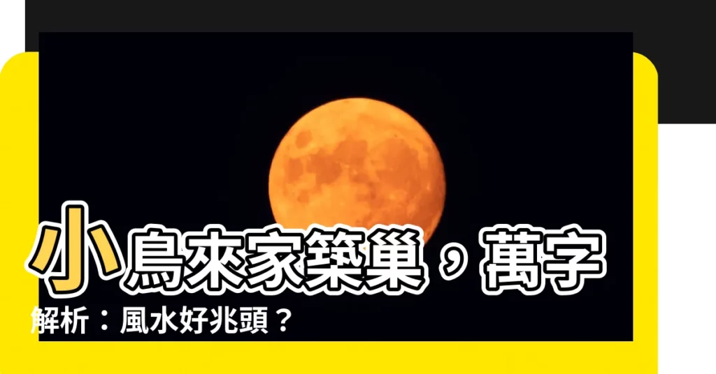 【小鳥來家裏築巢萬字】小鳥來家築巢，萬字解析：風水好兆頭？還是另有玄機？