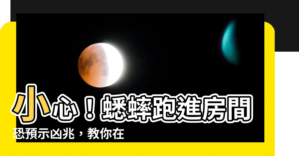 【蟋蟀跑進房間】小心！蟋蟀跑進房間恐預示凶兆，教你在家徹底趕走牠