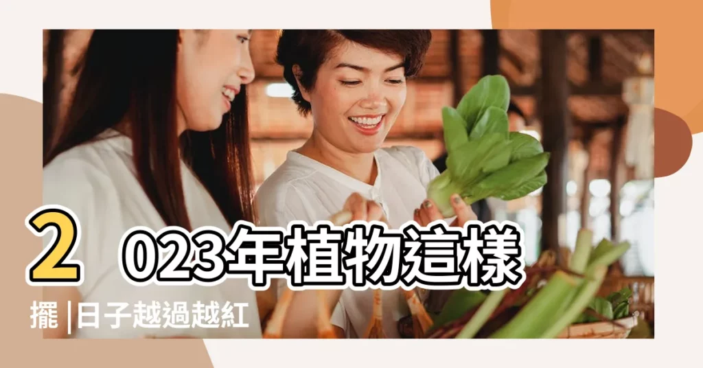 2023年植物這樣擺 |日子越過越紅火 |養發財樹 |【發財樹擺放位置2023】