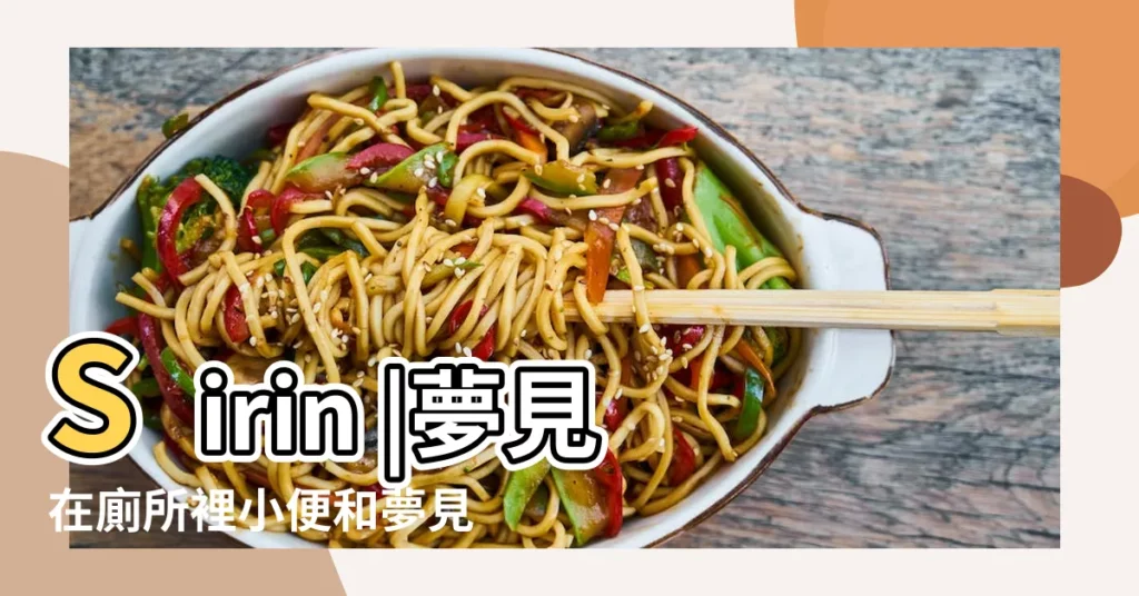 Sirin |夢見在廁所裡小便和夢見在廁所外小便的解析 |孕婦夢見尿布什麼意思 |【孕婦夢見尿不濕上有血】