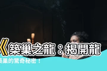 【築巢之龍】《築巢之龍：揭開龍族築巢的驚奇秘密！》