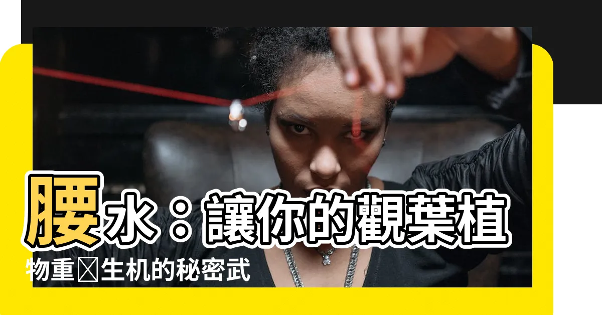【腰水 意思】腰水：讓你的觀葉植物重煥生機的秘密武器！