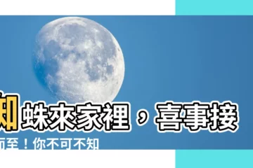 【蜘蛛來家裡】蜘蛛來家裡，喜事接踵而至！你不可不知的居家好兆頭