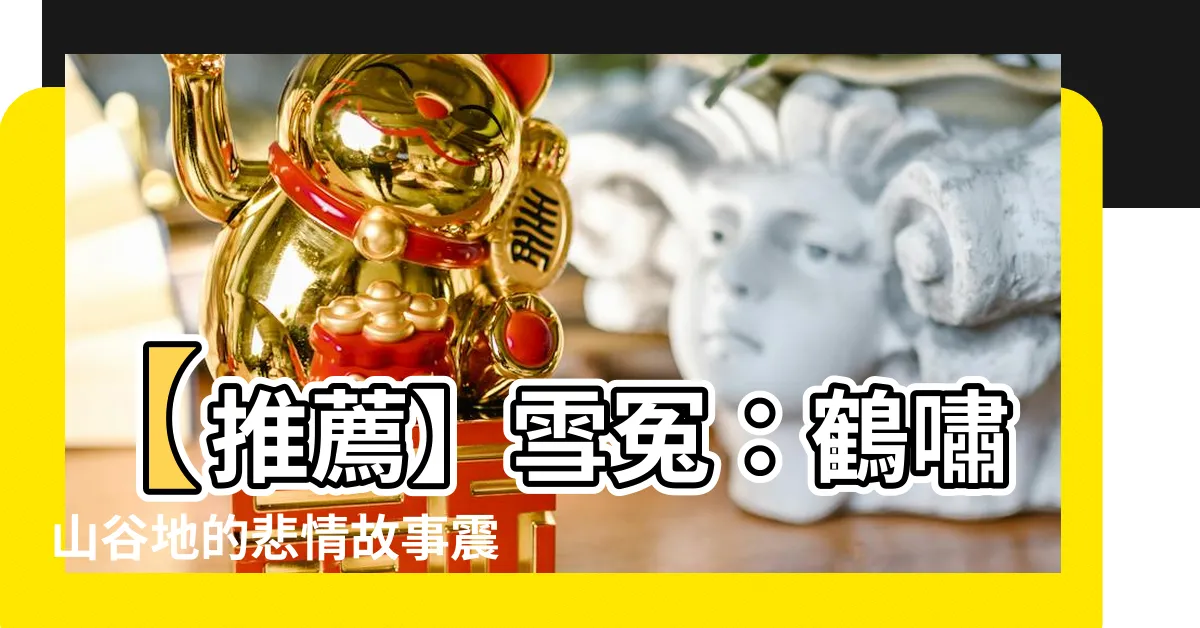 【鶴嘯山谷地】【推薦】雪冤：鶴嘯山谷地的悲情故事震撼人心！