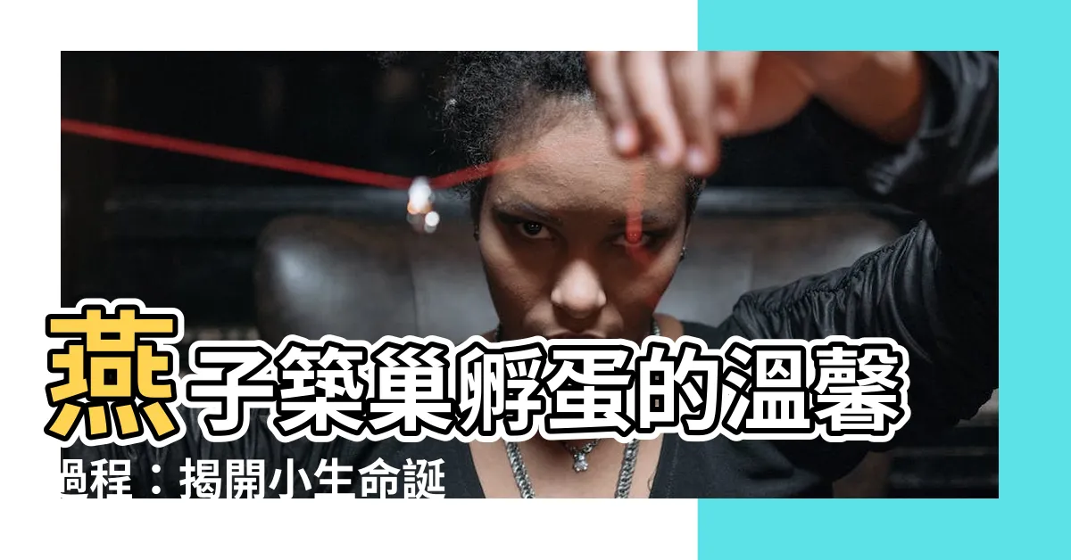 【燕子孵蛋】燕子築巢孵蛋的温馨過程：揭開小生命誕生的秘密