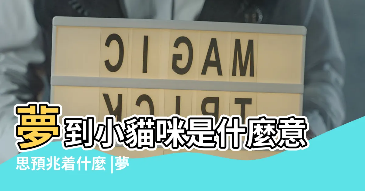 【夢 小貓】夢到小貓咪是什麼意思預兆着什麼 |夢見小貓崽 |夢見小貓是什麼意思 |