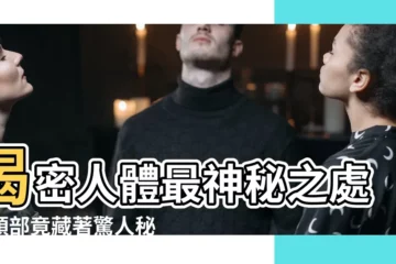 【頭 高度】揭密人體最神秘之處！頭部竟藏著驚人秘密，高度驚呆眾人