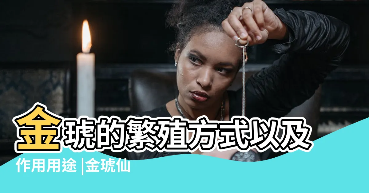 【金琥仙人掌繁殖】金琥的繁殖方式以及作用用途 |金琥仙人球的繁殖養護 |仙人球金琥怎麼養多肉金琥的繁殖方法 |