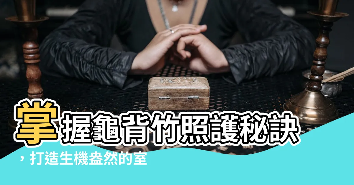 【龜背竹】掌握龜背竹照護秘訣，打造生機盎然的室內綠洲