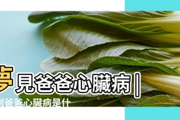 【夢見父親犯心臟病】夢見爸爸心臟病 |夢到爸爸心臟病是什麼意思 |夢見親人心臟病發作 |