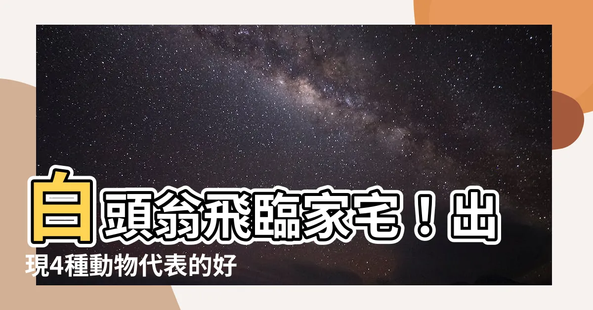 【白頭翁預兆】白頭翁飛臨家宅！出現4種動物代表的好運兆頭，小心別錯過！