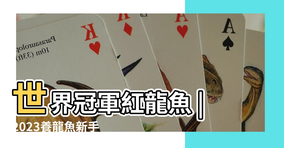 【辣椒紅龍幼魚價格】世界冠軍紅龍魚 |2023養龍魚新手指南 |帶你認識龍魚行情價推薦202 |