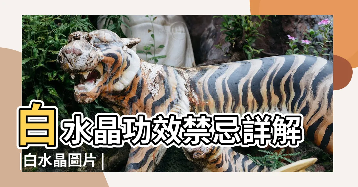 【白水晶 功效】白水晶功效禁忌詳解 |白水晶圖片 |水晶之中的王者 |