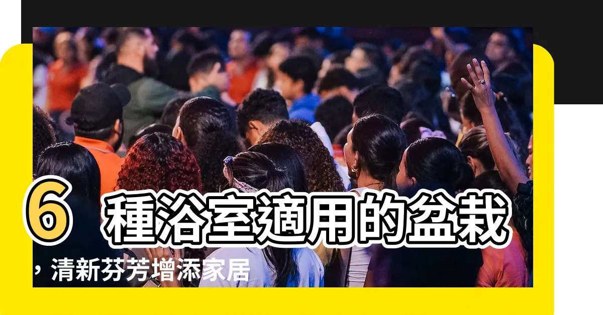 【適合浴室的盆栽】6種浴室適用的盆栽，清新芬芳增添家居風雅