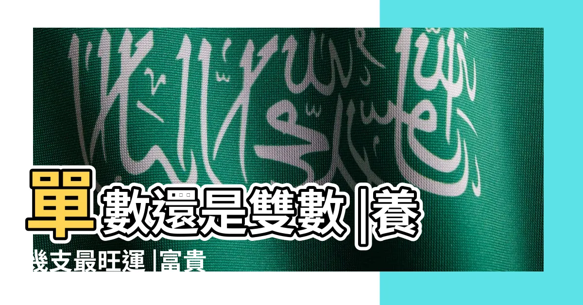 【富貴竹養幾支好】單數還是雙數 |養幾支最旺運 |富貴竹養幾根才最好 |