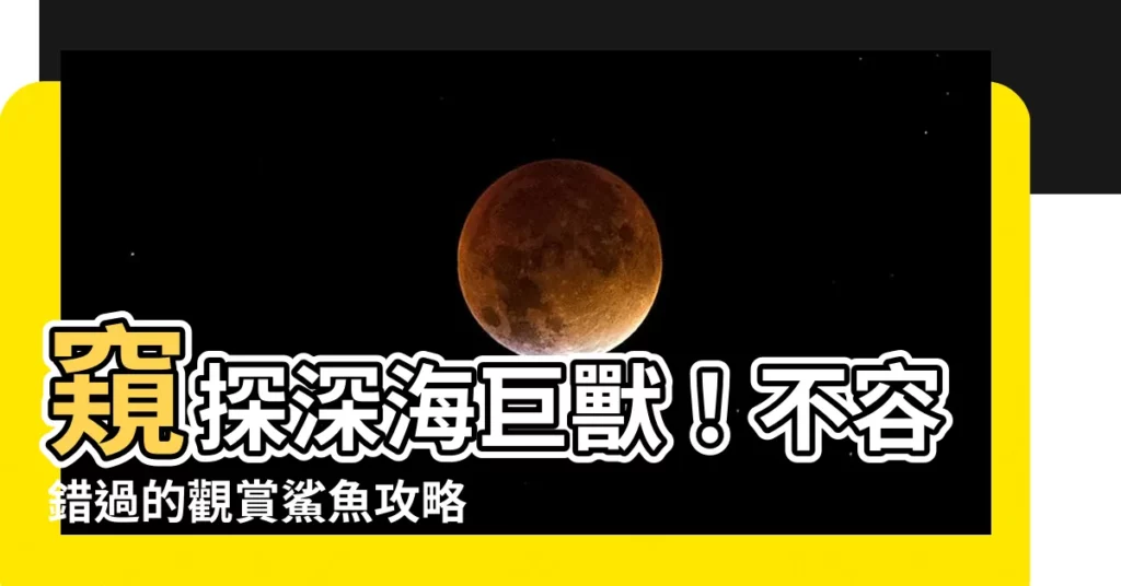 【觀賞鯊魚】窺探深海巨獸！不容錯過的觀賞鯊魚攻略