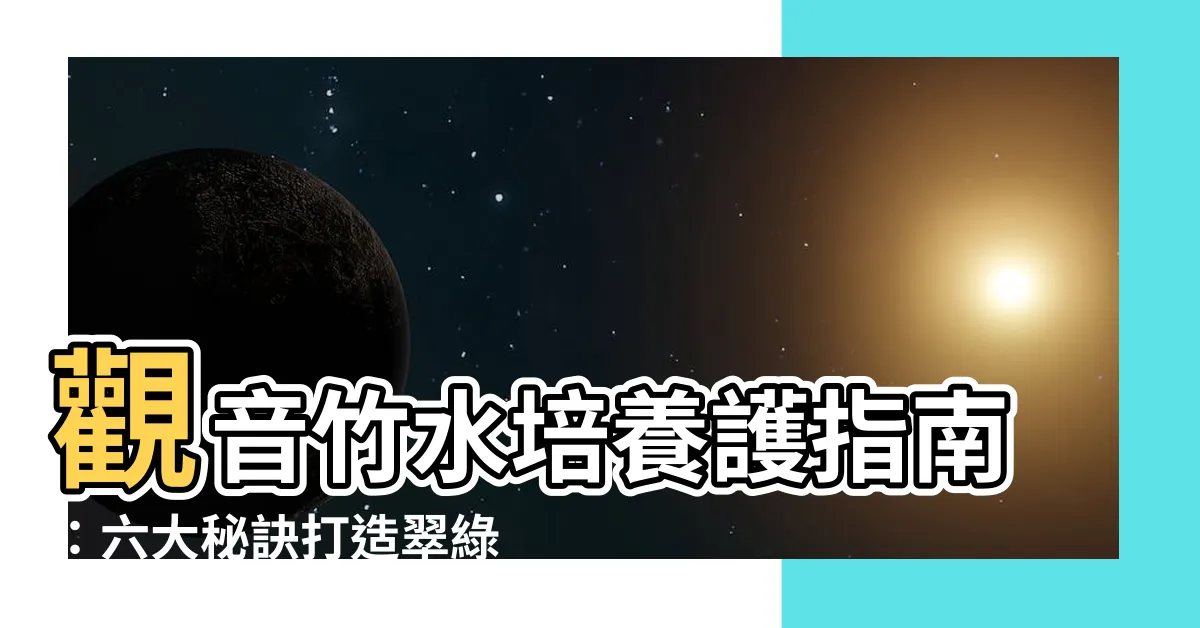【觀音竹怎麼養】觀音竹水培養護指南：六大秘訣打造翠綠生機