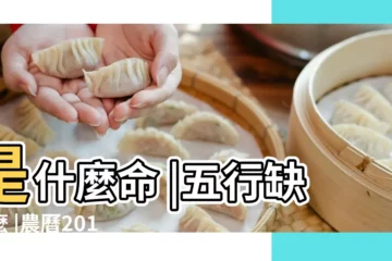 【2017年6月21日生八字】是什麼命 |五行缺什麼 |農曆2017年6月21日生日算命 |