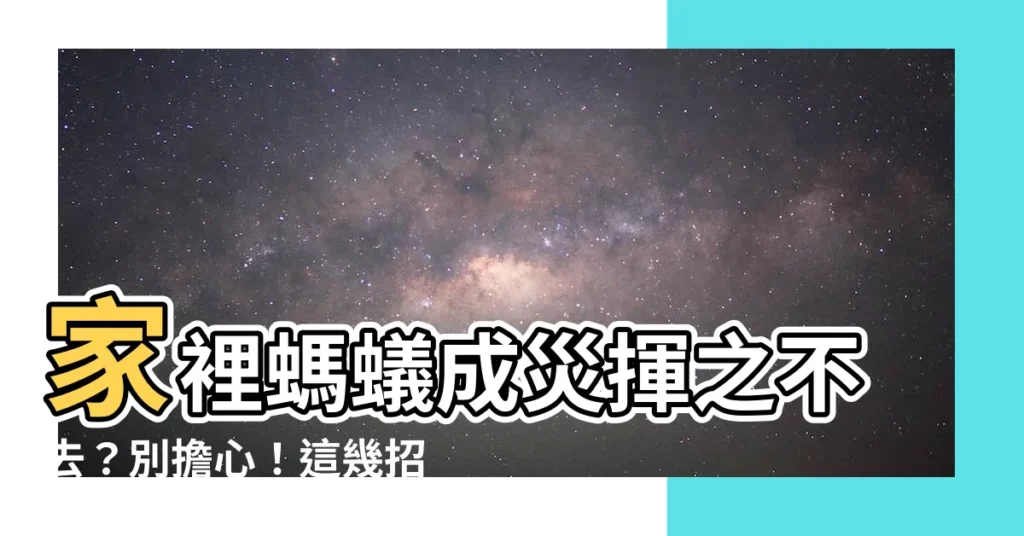 【家裡有螞蟻】家裡螞蟻成災揮之不去？別擔心！這幾招就能輕鬆滅蟻