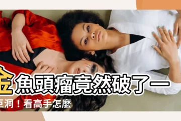 【金魚頭瘤破洞】金魚頭瘤竟然破了一個巨洞！看高手怎麼救牠脱離險境