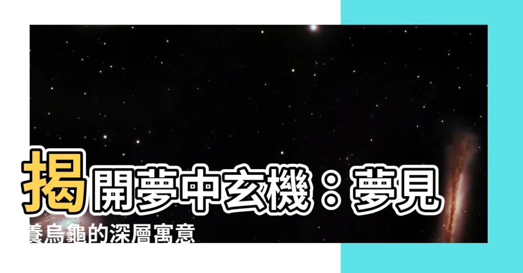 【夢見養烏龜】揭開夢中玄機：夢見養烏龜的深層寓意