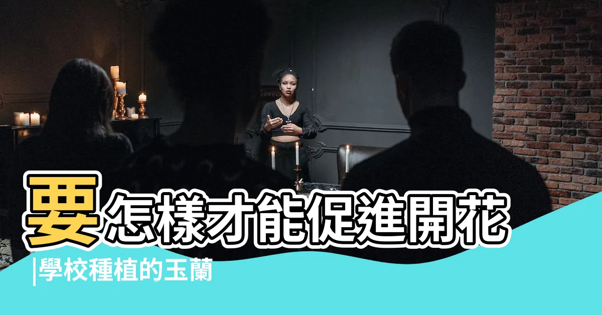 【如何讓玉蘭花開花】要怎樣才能促進開花 |學校種植的玉蘭樹很少開花 |玉蘭花樹不再開花 |